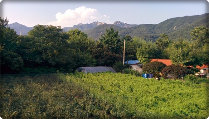 계룡산 사기장골
