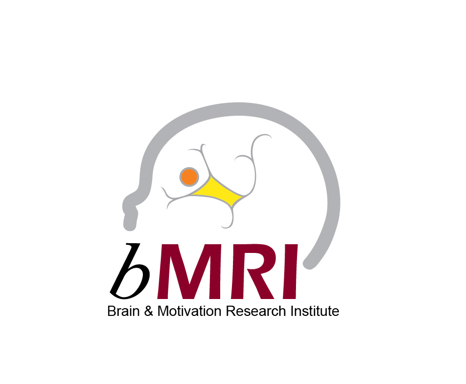 bMRI Motivation Workshop Series 1 #1